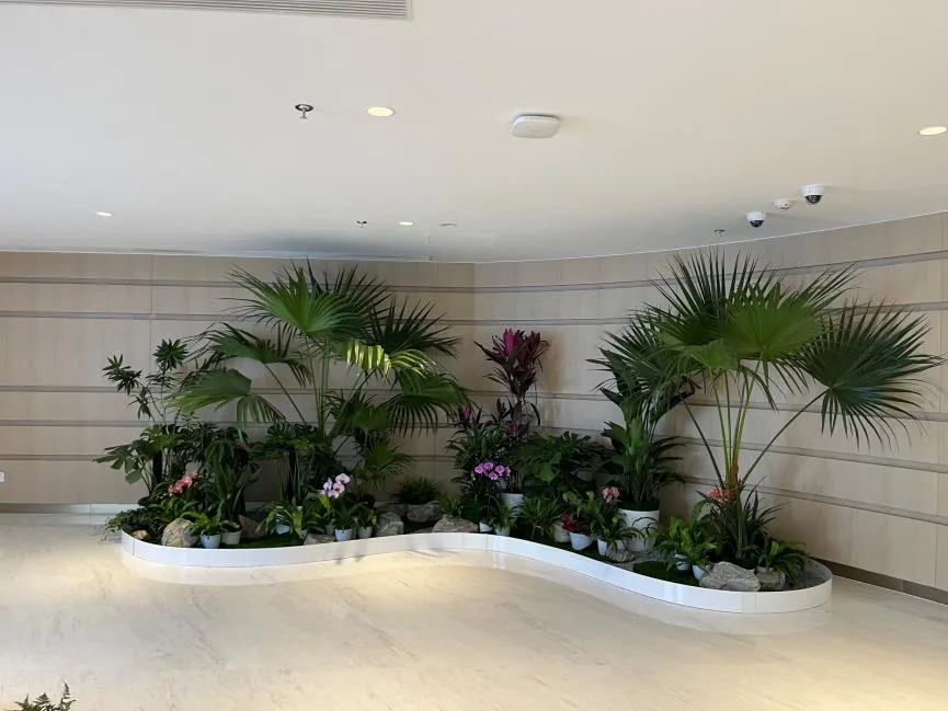 海曙盆景租摆选哪家？业内口碑好的都在这儿！